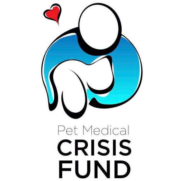 Logo Photo